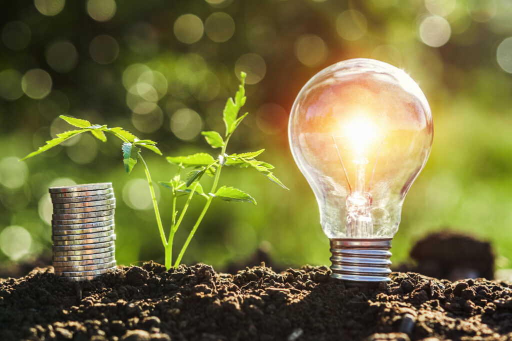 Solar energy savings and clean energy benefits with a lightbulb and plant.
